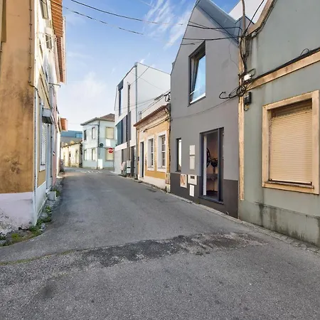 T1 - Salina Ria * Aveiro