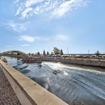 T1 - Salina Ria Aveiro