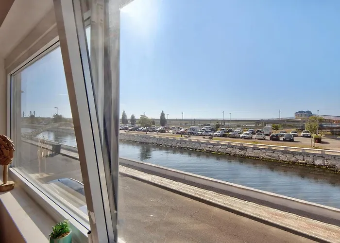 T1 - Salina Ria Aveiro